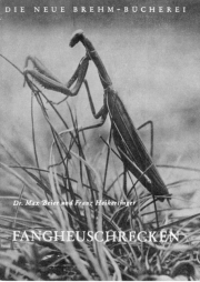 Fangheuschrecken