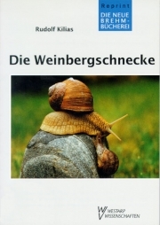 Die Weinbergschnecke