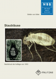 Staubläuse