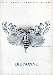 Die Nonne