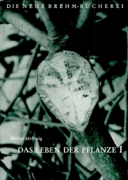 Das Leben der Pflanze