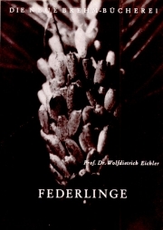 Federlinge