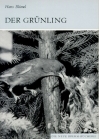 Der Grünling