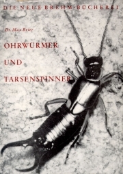 Ohrwürmer und Tarsenspinner