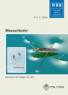 Wasserläufer