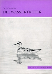 Die Wassertreter