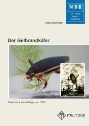 Der Gelbrandkäfer