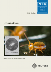 Ur-Insekten