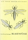 Blasenfüße