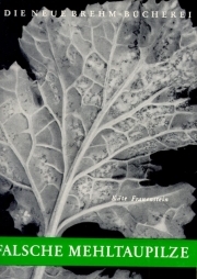 Falsche Mehltaupilze