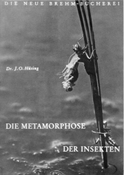 Die Metamorphose der Insekten