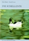 Die Schellente