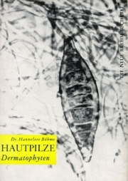 Die Hautpilze