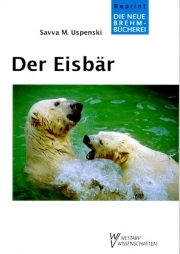 Der Eisbär