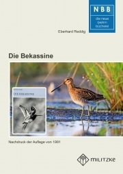 Die Bekassine