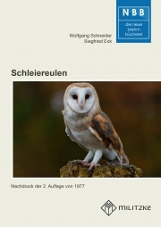 Schleiereulen