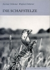 Die Schafstelze