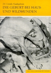 Die Geburt bei Haus- und Wildhunden