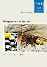 Wespen und Hornissen