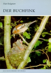 Der Buchfink