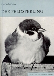 Der Feldsperling