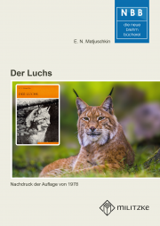 Der Luchs
