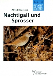Nachtigall und Sprosser