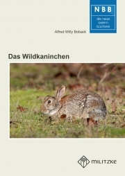 Das Wildkaninchen
