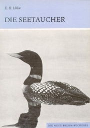 Die Seetaucher