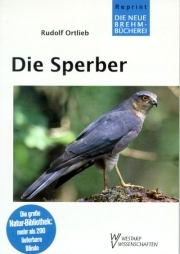 Die Sperber