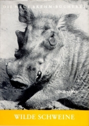 Wilde Schweine