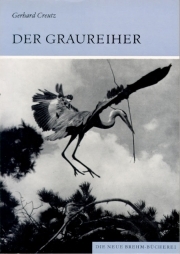 Der Graureiher