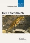 Der Teichmolch - E-Book