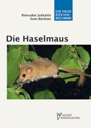 Die Haselmaus - E-Book