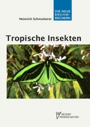 Tropische Insekten - Meisterwerke der Evolution - E-Book