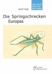 Die Springschrecken Europas - E-Book
