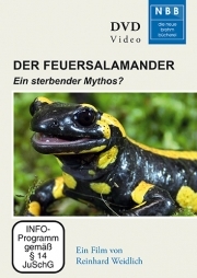 Der Feuersalamander