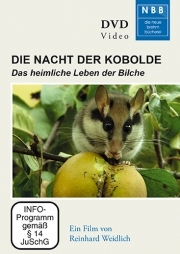 Die Nacht der Kobolde